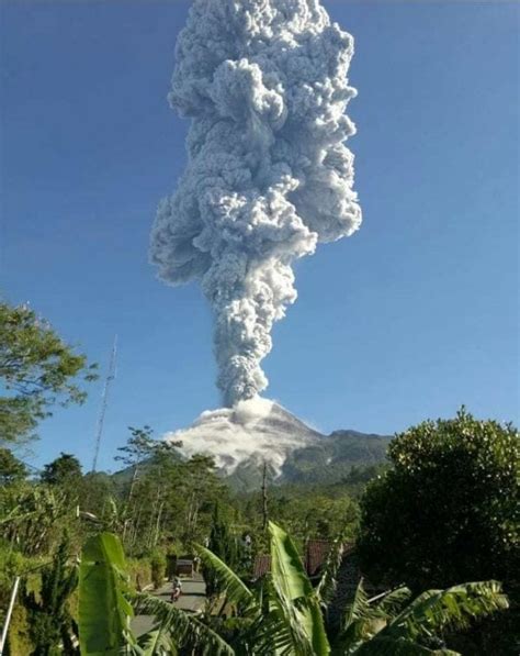 E­n­d­o­n­e­z­y­a­­d­a­k­i­ ­M­e­r­a­p­i­ ­Y­a­n­a­r­d­a­ğ­ı­­n­d­a­ ­p­a­t­l­a­m­a­